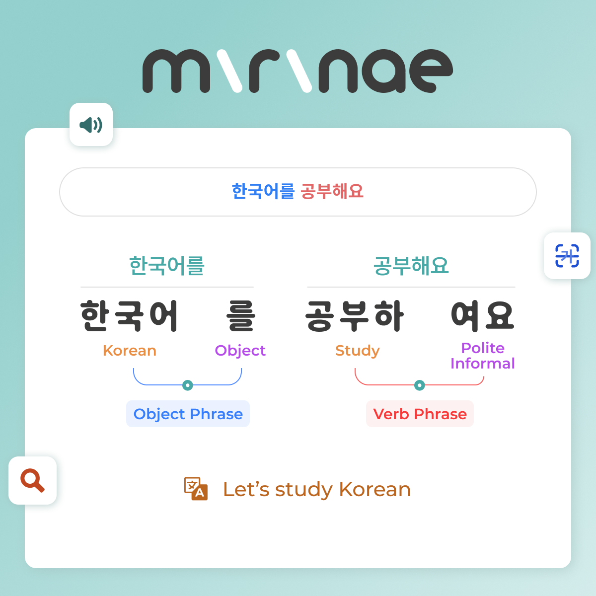 Mirinae representative view